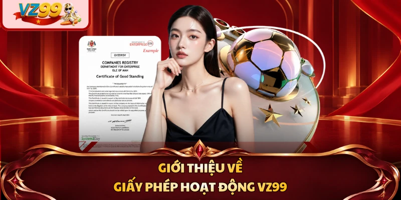 Giới thiệu về giấy phép hoạt động VZ99