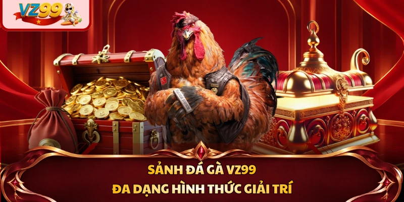 Sảnh đá gà VZ99 đa dạng hình thức giải trí